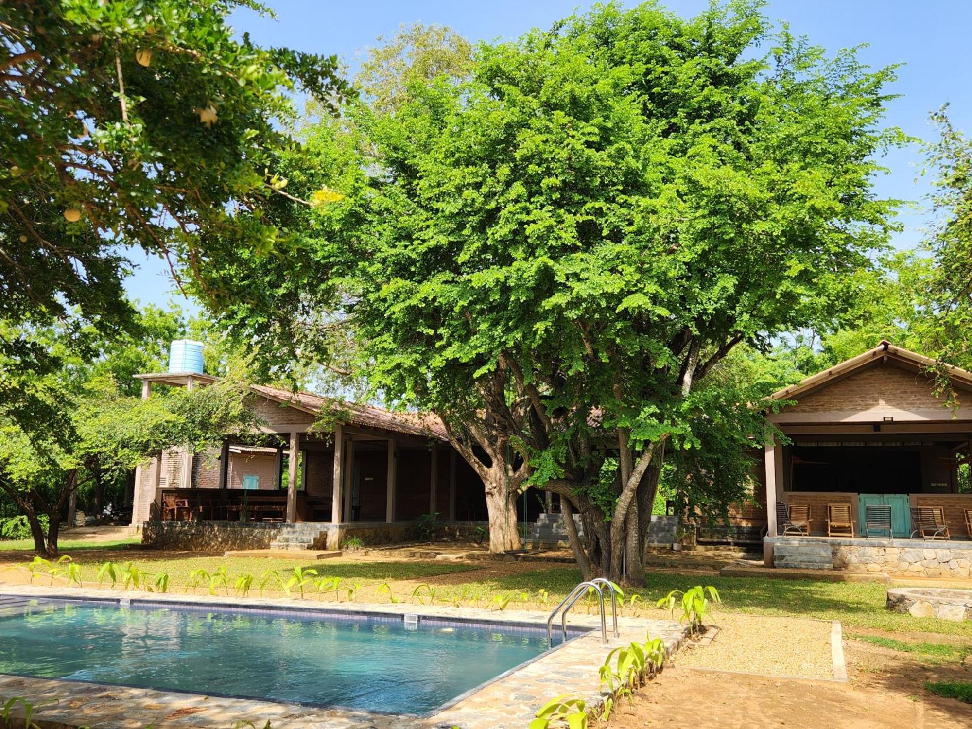 Hide Yala Bed & Breakfast Tissamaharama Luaran gambar
