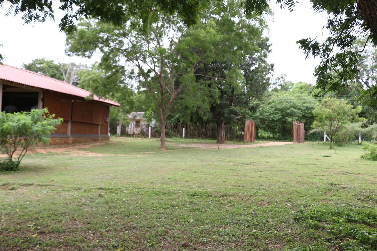 Hide Yala Bed & Breakfast Tissamaharama Luaran gambar